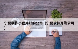 海口宁夏制作小程序好的公司（宁夏软件开发公司）