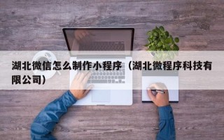 海口湖北微信怎么制作小程序（湖北微程序科技有限公司）